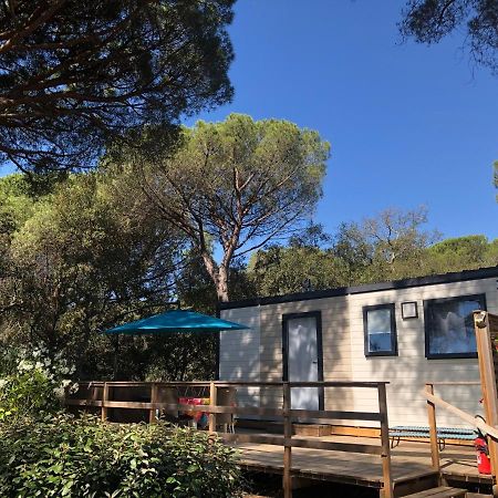 רוקברון-סור-ארז'נס Camping De Parpaillon מראה חיצוני תמונה